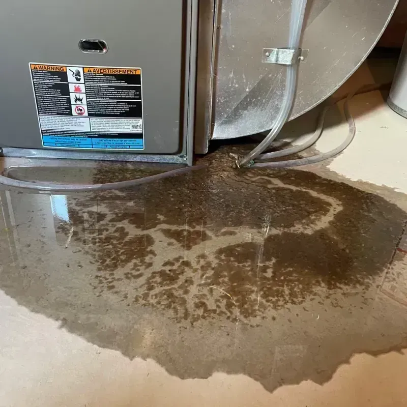 Appliance Leak Cleanup in Craigsville, WV